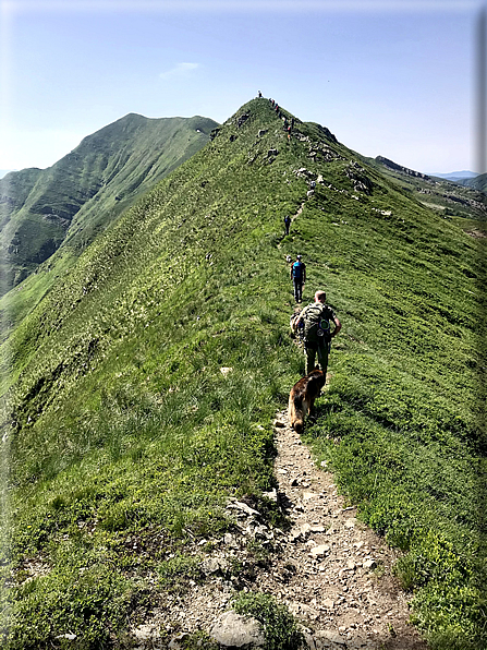 foto Parco dei Cento Laghi